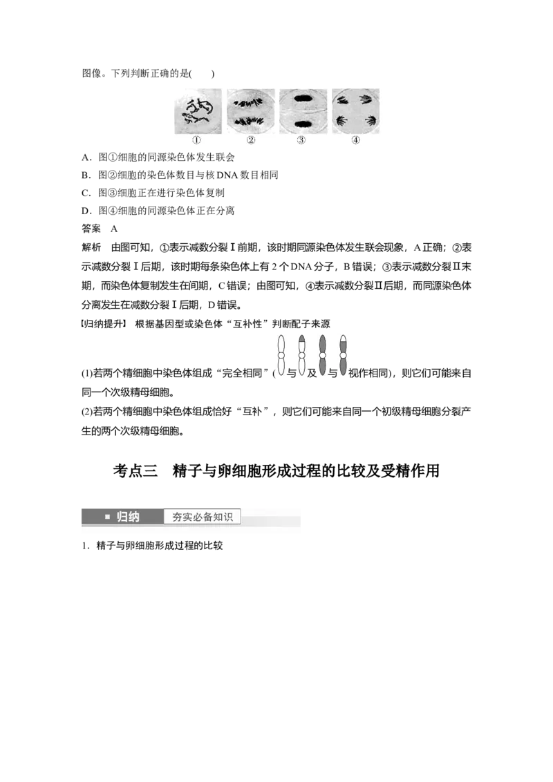 2024年高考生物一轮复习（新人教版）第4单元　第3课时　减数分裂和受精作用_09高考生物_2024年新高考资料_1.2024一轮复习_2024年高考生物一轮复习讲义（新人教版）