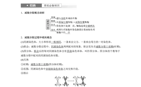 2024年高考生物一轮复习（新人教版）第4单元　第3课时　减数分裂和受精作用_09高考生物_2024年新高考资料_1.2024一轮复习_2024年高考生物一轮复习讲义（新人教版）
