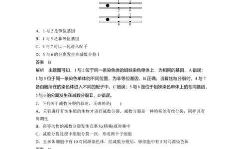 2024年高考生物一轮复习（新人教版）第4单元　第3课时　减数分裂和受精作用_09高考生物_2024年新高考资料_1.2024一轮复习_2024年高考生物一轮复习讲义（新人教版）