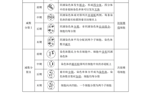 2024年高考生物一轮复习（新人教版）第4单元　第3课时　减数分裂和受精作用_09高考生物_2024年新高考资料_1.2024一轮复习_2024年高考生物一轮复习讲义（新人教版）