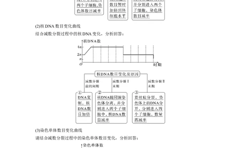 2024年高考生物一轮复习（新人教版）第4单元　第3课时　减数分裂和受精作用_09高考生物_2024年新高考资料_1.2024一轮复习_2024年高考生物一轮复习讲义（新人教版）