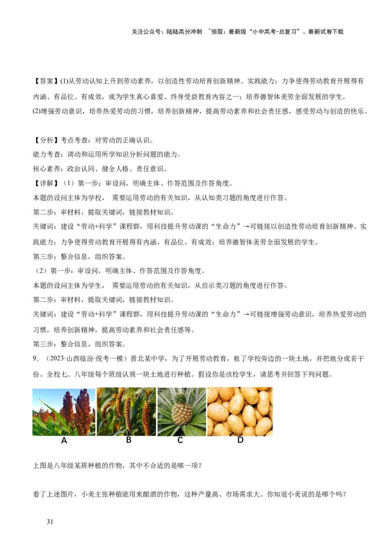 专题11维护国家利益（练习）（解析版）_02中考总复习（2026版更新中）_07-道法-中考总复习_2024年中考复习资料_一轮复习_2024年中考道德与法治一轮复习讲练测（全国通用）