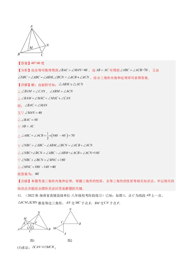 专题10轴对称中的翻折、旋转问题专训（教师版）_初中数学_八年级数学上册（人教版）_重难点专题提升-V7_2024版