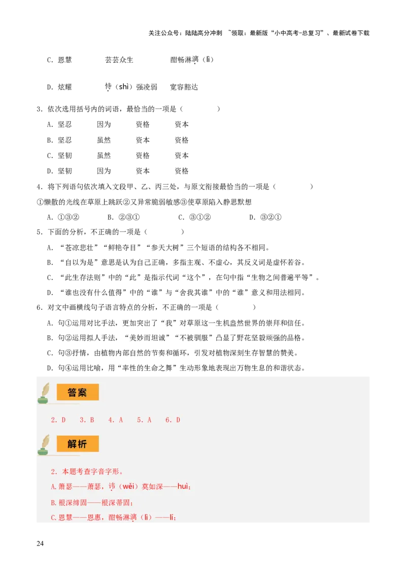 专题06语法知识与修辞手法（2类常考知识+3个易错点）（解析版）_02中考总复习（2026版更新中）_01-语文-中考总复习_2025年中考资料_2025年中考语文一轮复习知识梳理