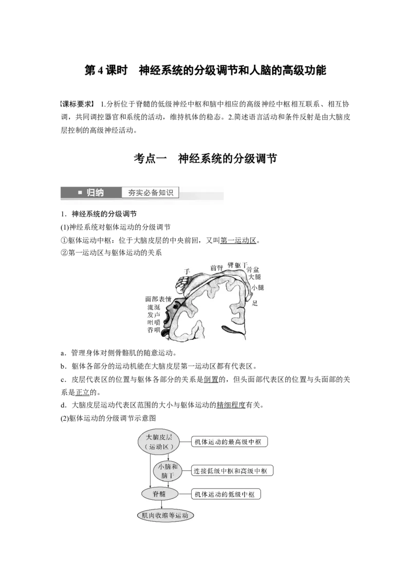 2024年高考生物一轮复习（新人教版）第8单元　第4课时　神经系统的分级调节和人脑的高级功能_09高考生物_2024年新高考资料_1.2024一轮复习_2024年高考生物一轮复习讲义（新人教版）