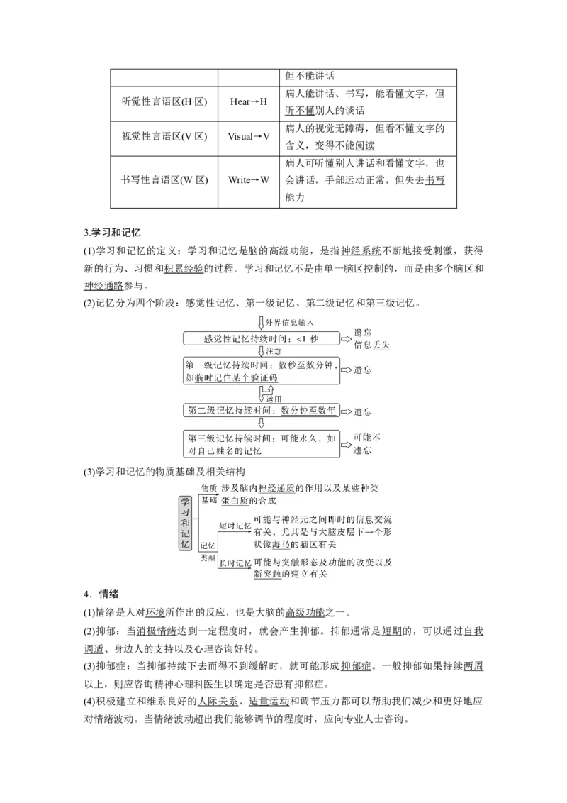 2024年高考生物一轮复习（新人教版）第8单元　第4课时　神经系统的分级调节和人脑的高级功能_09高考生物_2024年新高考资料_1.2024一轮复习_2024年高考生物一轮复习讲义（新人教版）