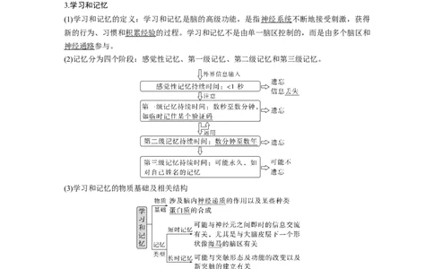 2024年高考生物一轮复习（新人教版）第8单元　第4课时　神经系统的分级调节和人脑的高级功能_09高考生物_2024年新高考资料_1.2024一轮复习_2024年高考生物一轮复习讲义（新人教版）