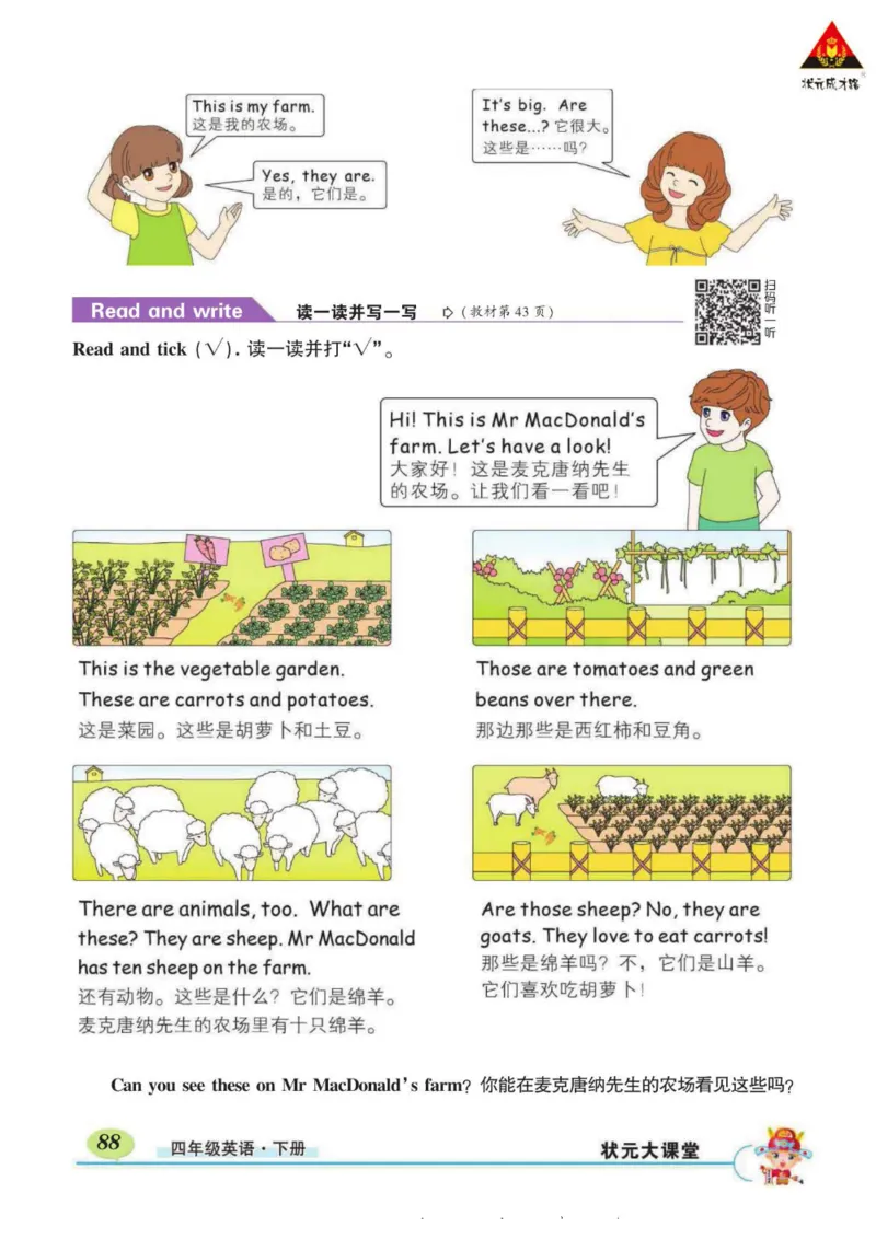 状元大课堂四年级下册英语人教PEP版学生用书_26春四年级上下册人教版_四上英语合集人教版PEP英语四年级上册新教材（教学视频+课件+动画+音频+练习+教案）_17练习资料_《状元导学案》