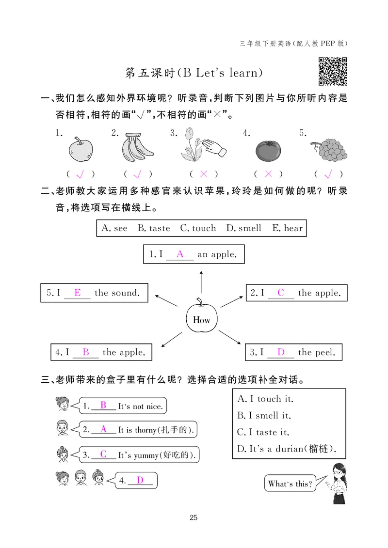 英语作业本（人教PEP版）三年级下册教师用书_26春四年级上下册人教版_四上英语合集人教版PEP英语四年级上册新教材（教学视频+课件+动画+音频+练习+教案）_17练习资料