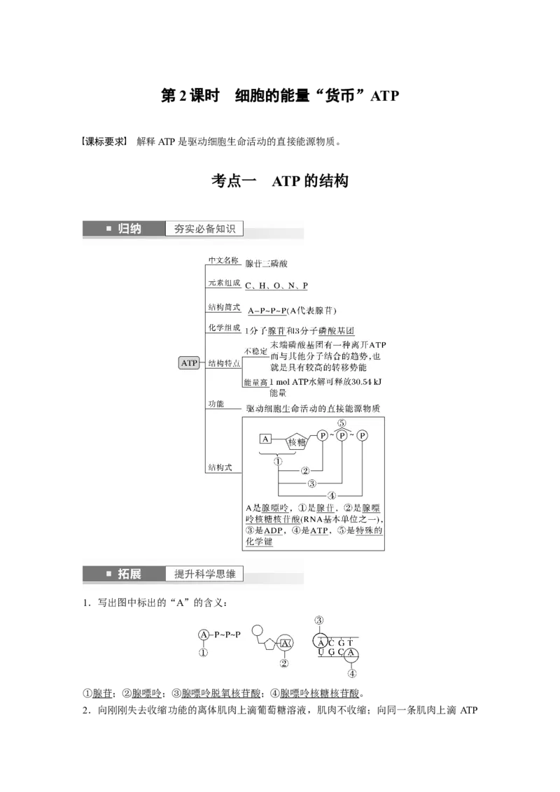 2024年高考生物一轮复习（新人教版）第3单元　第2课时　细胞的能量&ldquo;货币&rdquo;ATP_09高考生物_2024年新高考资料_1.2024一轮复习_2024年高考生物一轮复习讲义（新人教版）