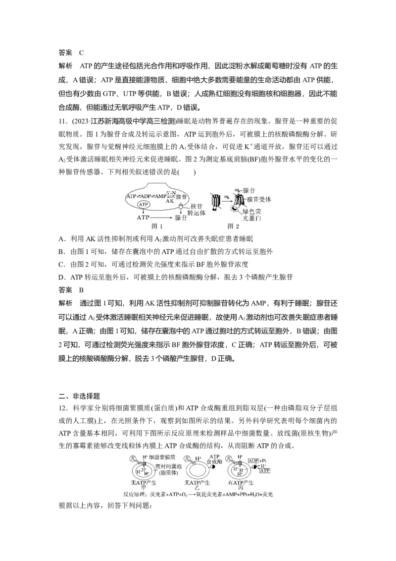 2024年高考生物一轮复习（新人教版）第3单元　第2课时　细胞的能量&ldquo;货币&rdquo;ATP_09高考生物_2024年新高考资料_1.2024一轮复习_2024年高考生物一轮复习讲义（新人教版）