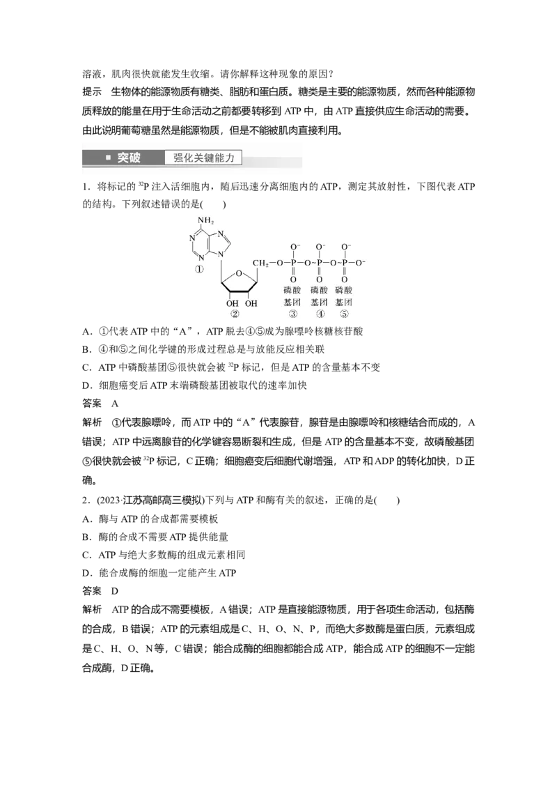 2024年高考生物一轮复习（新人教版）第3单元　第2课时　细胞的能量&ldquo;货币&rdquo;ATP_09高考生物_2024年新高考资料_1.2024一轮复习_2024年高考生物一轮复习讲义（新人教版）
