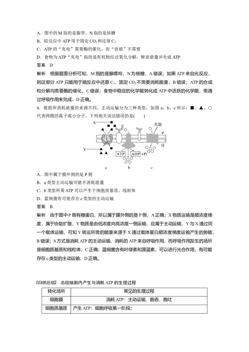 2024年高考生物一轮复习（新人教版）第3单元　第2课时　细胞的能量&ldquo;货币&rdquo;ATP_09高考生物_2024年新高考资料_1.2024一轮复习_2024年高考生物一轮复习讲义（新人教版）