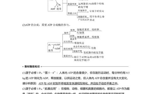 2024年高考生物一轮复习（新人教版）第3单元　第2课时　细胞的能量&ldquo;货币&rdquo;ATP_09高考生物_2024年新高考资料_1.2024一轮复习_2024年高考生物一轮复习讲义（新人教版）