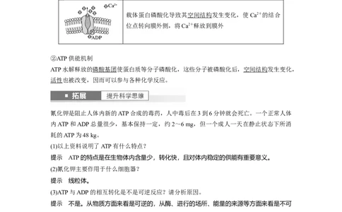 2024年高考生物一轮复习（新人教版）第3单元　第2课时　细胞的能量&ldquo;货币&rdquo;ATP_09高考生物_2024年新高考资料_1.2024一轮复习_2024年高考生物一轮复习讲义（新人教版）