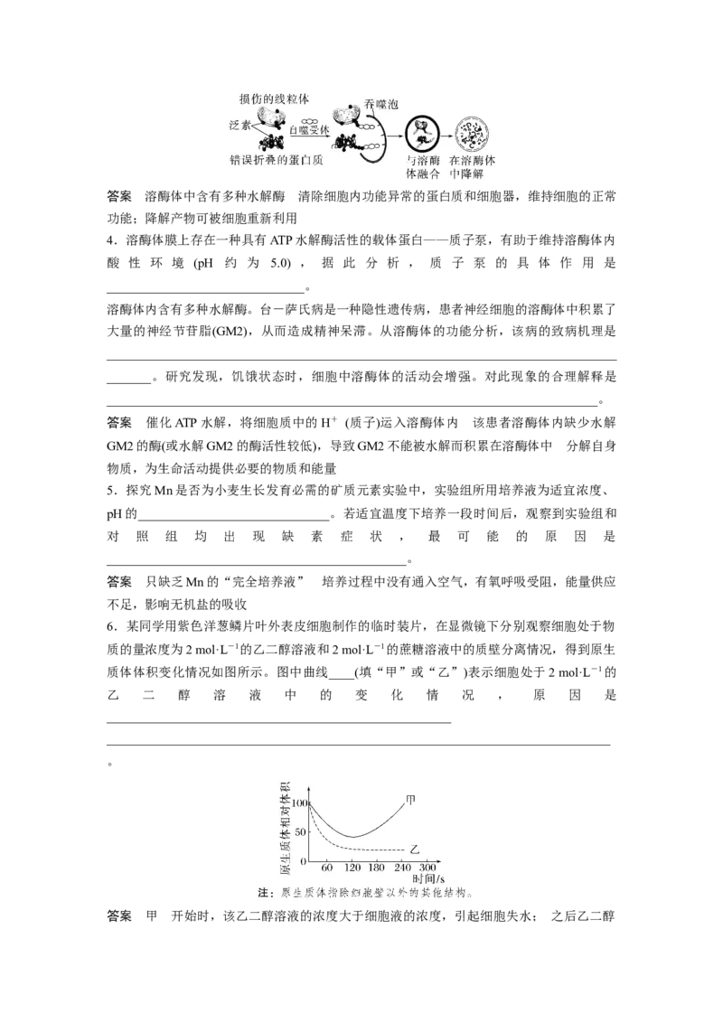 2024年高考生物一轮复习（新人教版）第2单元　长句表达(一)　与细胞有关的概念、特点和作用的描述_09高考生物_2024年新高考资料_1.2024一轮复习_2024年高考生物一轮复习讲义（新人教版）