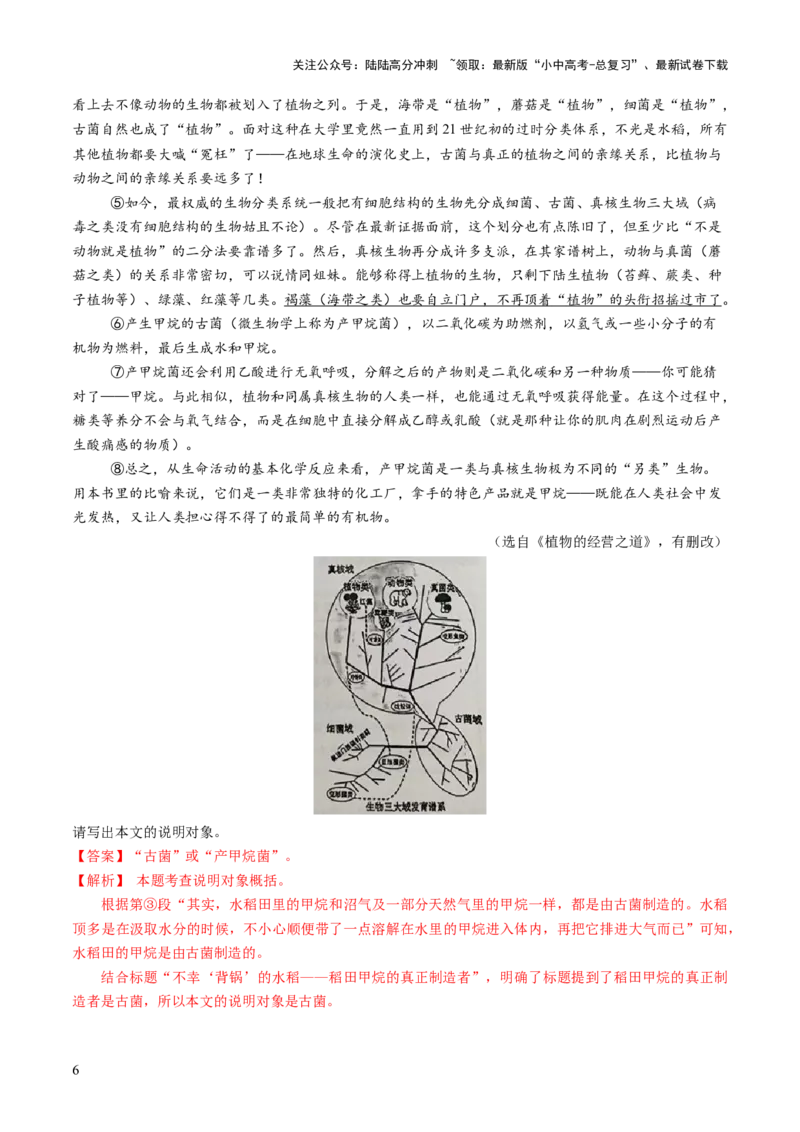 专题19说明对象与顺序（讲练）（解析版）_02中考总复习（2026版更新中）_01-语文-中考总复习_2025年中考资料_2025中考二轮课件ppt+讲义+练习语文_讲义练习