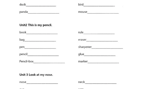 精通三上单词默写表_26春四年级上下册人教版_四上英语合集人教版PEP英语四年级上册新教材（教学视频+课件+动画+音频+练习+教案）_17练习资料_小学英语（预习复习资料大礼包）