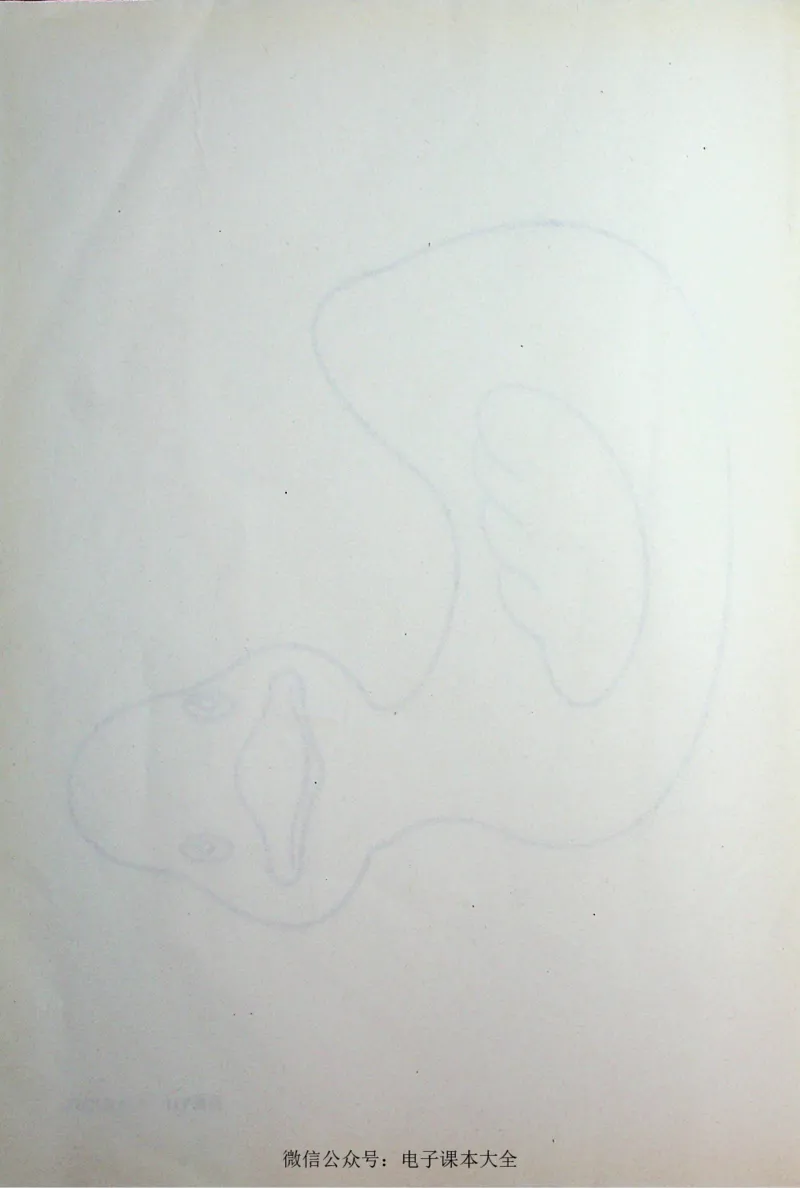 英语PEP3A教师教学用书_26春四年级上下册人教版_四上英语合集人教版PEP英语四年级上册新教材（教学视频+课件+动画+音频+练习+教案）_16教师用书_小学英语_人教版PEP