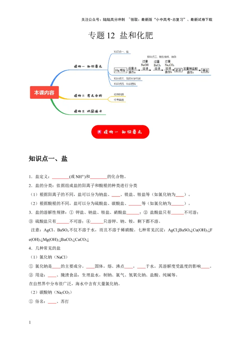 专题12盐和化肥（原卷版）_02中考总复习（2026版更新中）_05-化学-中考总复习_2024年中考复习资料_专项复习资料_2024年中考化学复习考点一遍过（全国通用）