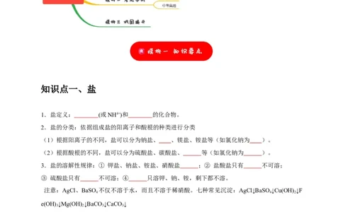 专题12盐和化肥（原卷版）_02中考总复习（2026版更新中）_05-化学-中考总复习_2024年中考复习资料_专项复习资料_2024年中考化学复习考点一遍过（全国通用）
