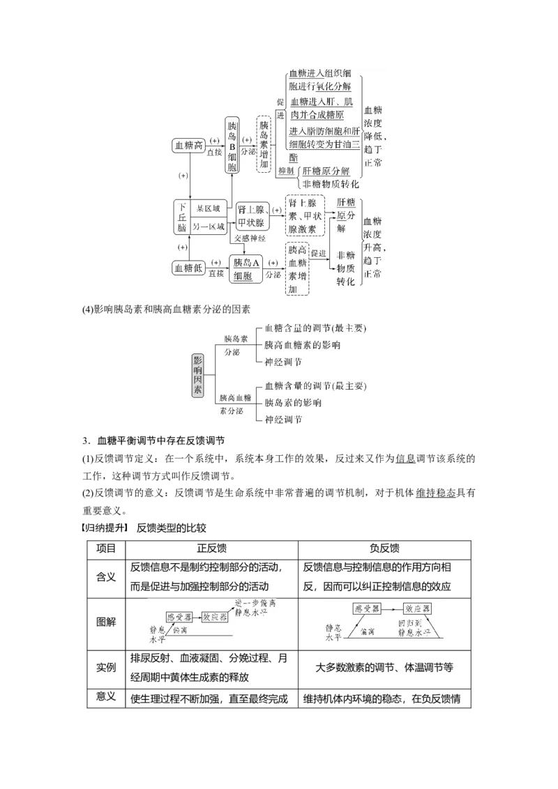2024年高考生物一轮复习（新人教版）第8单元　第5课时　激素与内分泌系统、激素调节的过程_09高考生物_2024年新高考资料_1.2024一轮复习_2024年高考生物一轮复习讲义（新人教版）