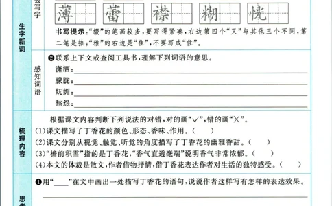 阳光同学六年级上册语文人教版预习单h_26春四年级上下册人教版_四上英语合集人教版PEP英语四年级上册新教材（教学视频+课件+动画+音频+练习+教案）_17练习资料_《预习卡》_1-6上册