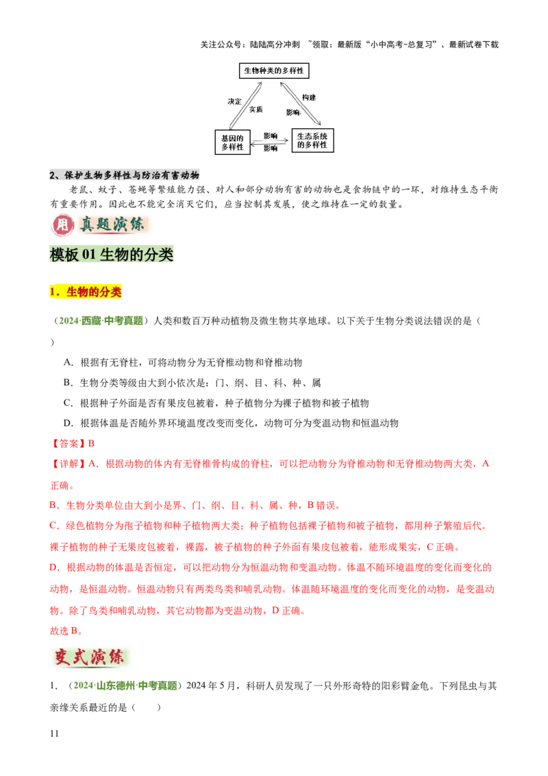 专题07生物的多样性（5大答题模板）（解析版）_02中考总复习（2026版更新中）_08-生物-中考总复习_2025中考复习资料_2025年中考生物答题方法模板