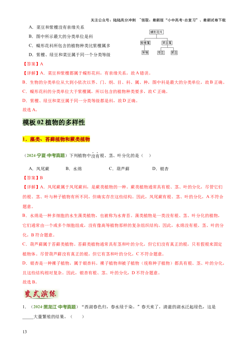 专题07生物的多样性（5大答题模板）（解析版）_02中考总复习（2026版更新中）_08-生物-中考总复习_2025中考复习资料_2025年中考生物答题方法模板