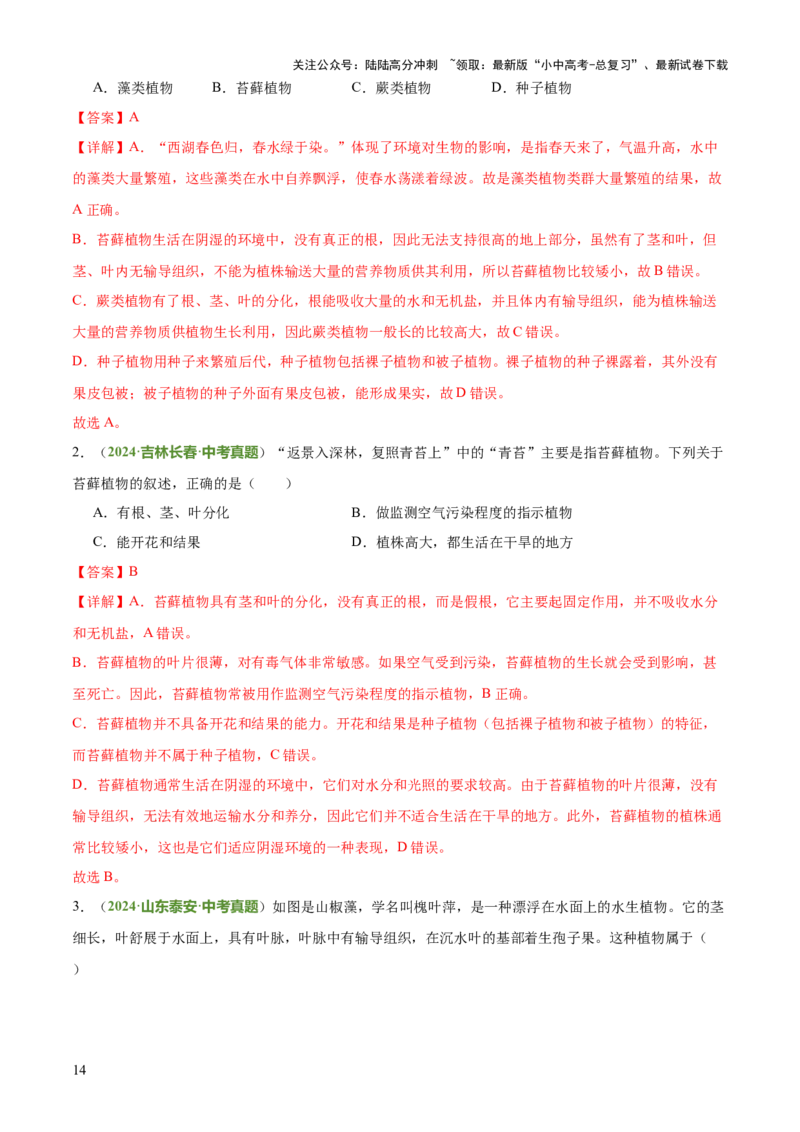 专题07生物的多样性（5大答题模板）（解析版）_02中考总复习（2026版更新中）_08-生物-中考总复习_2025中考复习资料_2025年中考生物答题方法模板