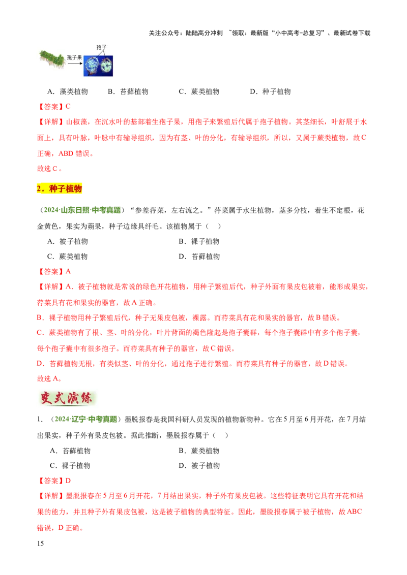 专题07生物的多样性（5大答题模板）（解析版）_02中考总复习（2026版更新中）_08-生物-中考总复习_2025中考复习资料_2025年中考生物答题方法模板