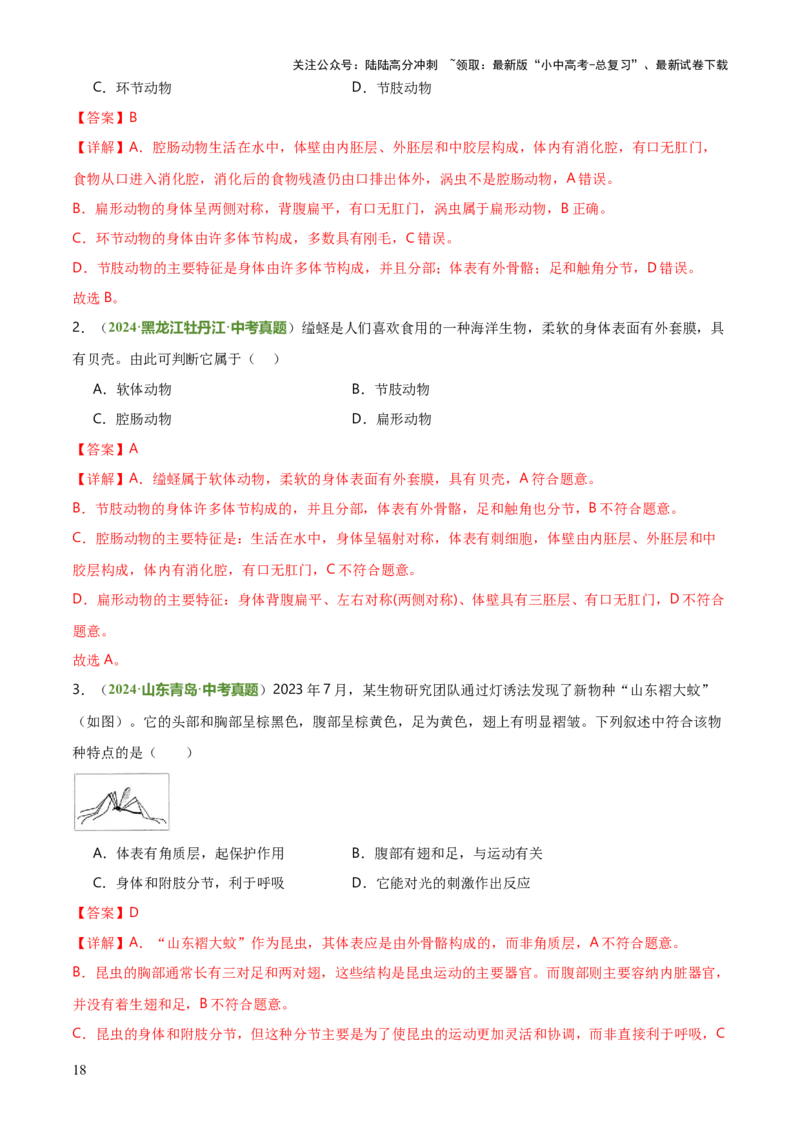 专题07生物的多样性（5大答题模板）（解析版）_02中考总复习（2026版更新中）_08-生物-中考总复习_2025中考复习资料_2025年中考生物答题方法模板