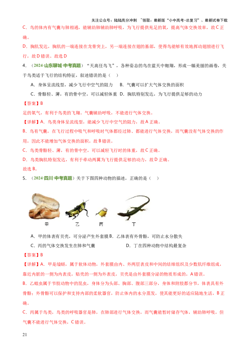 专题07生物的多样性（5大答题模板）（解析版）_02中考总复习（2026版更新中）_08-生物-中考总复习_2025中考复习资料_2025年中考生物答题方法模板