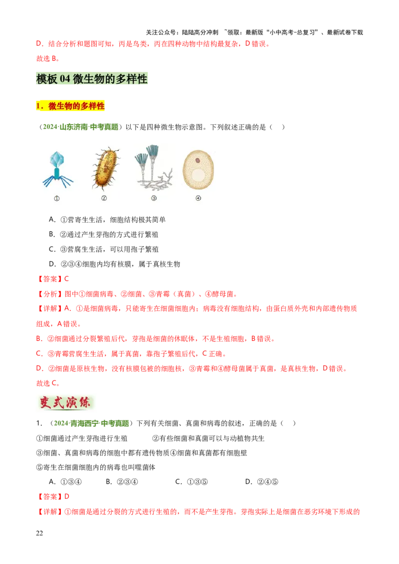 专题07生物的多样性（5大答题模板）（解析版）_02中考总复习（2026版更新中）_08-生物-中考总复习_2025中考复习资料_2025年中考生物答题方法模板