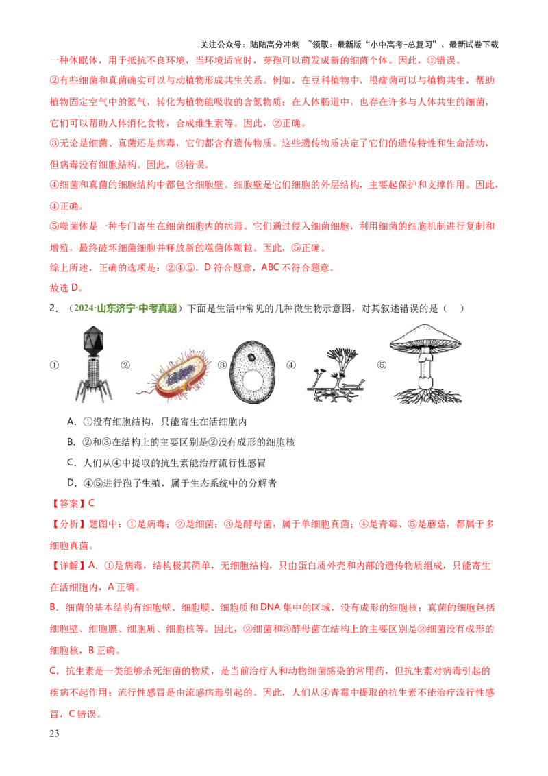 专题07生物的多样性（5大答题模板）（解析版）_02中考总复习（2026版更新中）_08-生物-中考总复习_2025中考复习资料_2025年中考生物答题方法模板