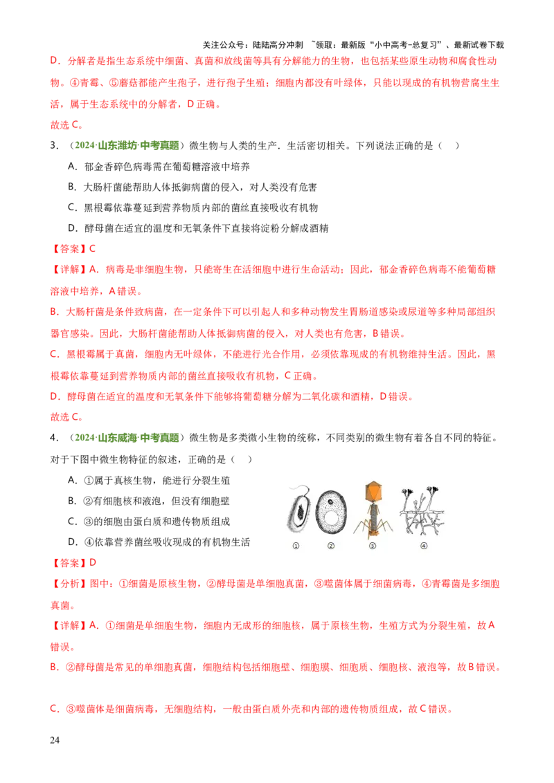 专题07生物的多样性（5大答题模板）（解析版）_02中考总复习（2026版更新中）_08-生物-中考总复习_2025中考复习资料_2025年中考生物答题方法模板