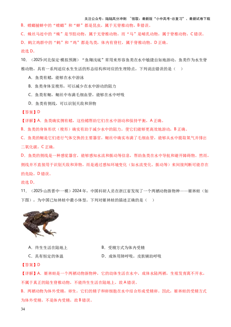 专题07生物的多样性（5大答题模板）（解析版）_02中考总复习（2026版更新中）_08-生物-中考总复习_2025中考复习资料_2025年中考生物答题方法模板