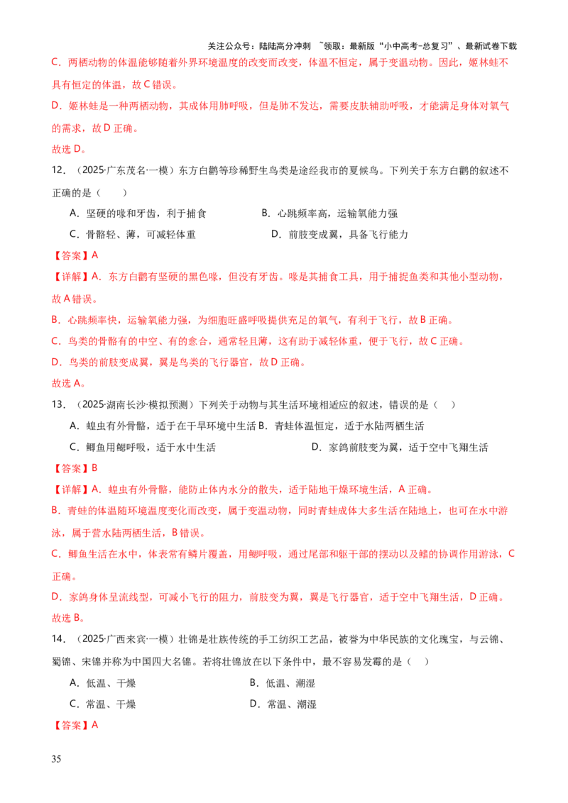专题07生物的多样性（5大答题模板）（解析版）_02中考总复习（2026版更新中）_08-生物-中考总复习_2025中考复习资料_2025年中考生物答题方法模板