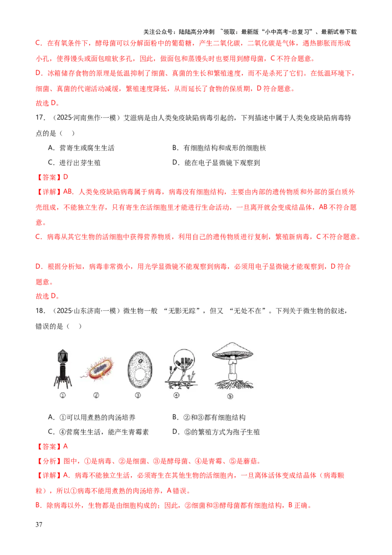 专题07生物的多样性（5大答题模板）（解析版）_02中考总复习（2026版更新中）_08-生物-中考总复习_2025中考复习资料_2025年中考生物答题方法模板