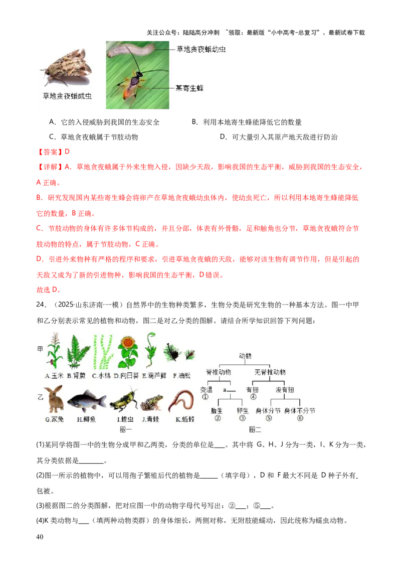专题07生物的多样性（5大答题模板）（解析版）_02中考总复习（2026版更新中）_08-生物-中考总复习_2025中考复习资料_2025年中考生物答题方法模板