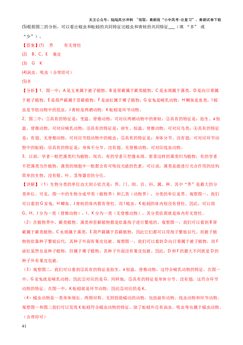 专题07生物的多样性（5大答题模板）（解析版）_02中考总复习（2026版更新中）_08-生物-中考总复习_2025中考复习资料_2025年中考生物答题方法模板