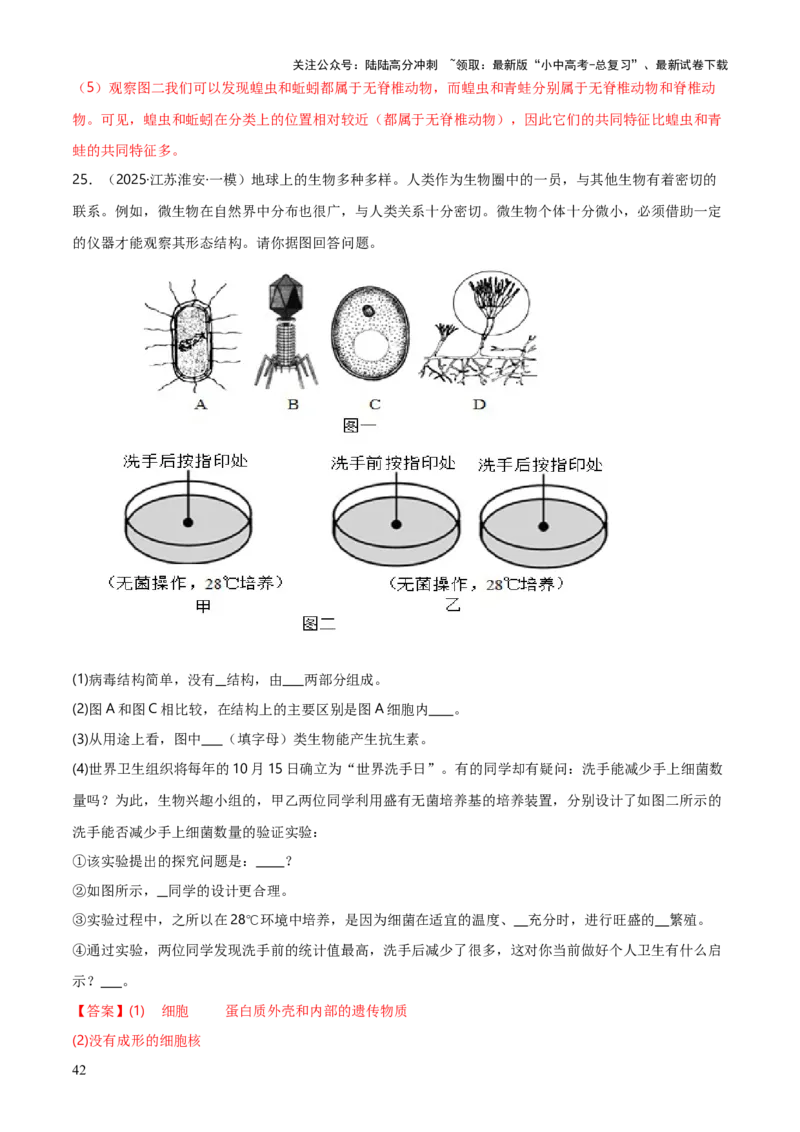 专题07生物的多样性（5大答题模板）（解析版）_02中考总复习（2026版更新中）_08-生物-中考总复习_2025中考复习资料_2025年中考生物答题方法模板
