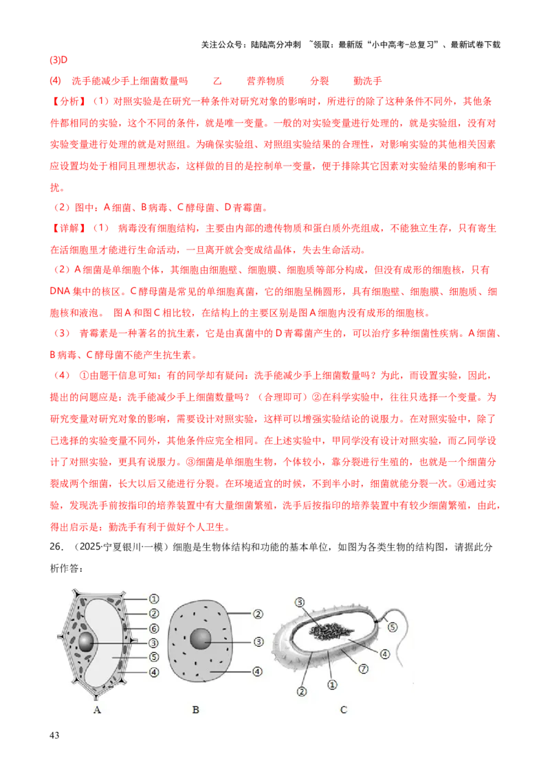 专题07生物的多样性（5大答题模板）（解析版）_02中考总复习（2026版更新中）_08-生物-中考总复习_2025中考复习资料_2025年中考生物答题方法模板