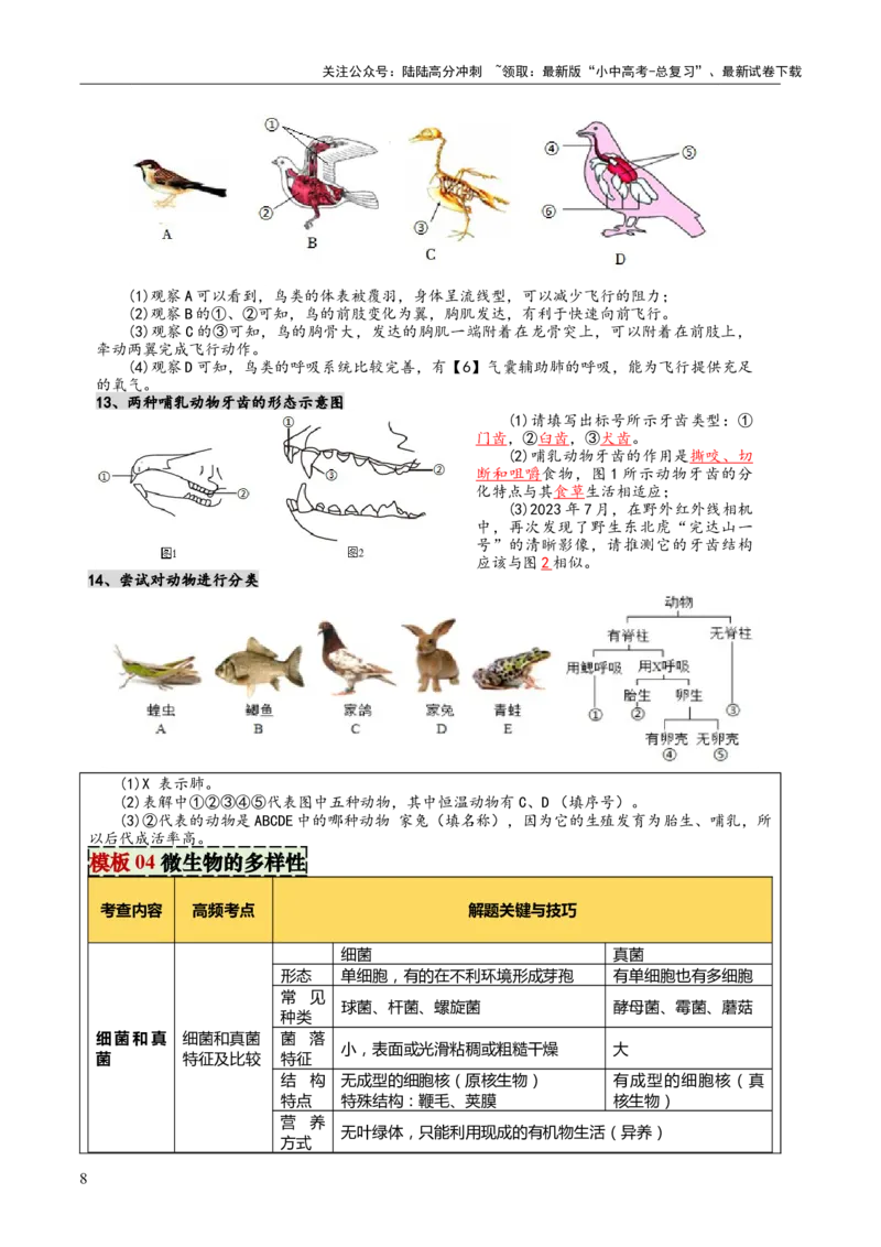 专题07生物的多样性（5大答题模板）（解析版）_02中考总复习（2026版更新中）_08-生物-中考总复习_2025中考复习资料_2025年中考生物答题方法模板