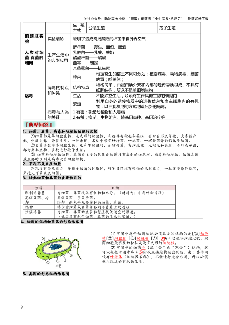 专题07生物的多样性（5大答题模板）（解析版）_02中考总复习（2026版更新中）_08-生物-中考总复习_2025中考复习资料_2025年中考生物答题方法模板