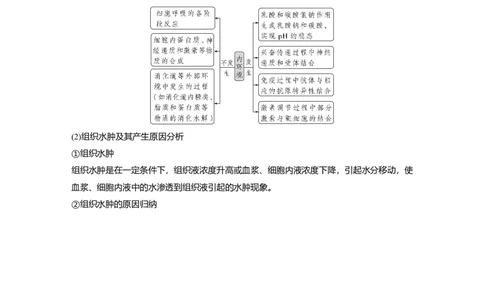 2024年高考生物一轮复习（新人教版）第8单元　第1课时　人体的内环境与稳态_09高考生物_2024年新高考资料_1.2024一轮复习_2024年高考生物一轮复习讲义（新人教版）