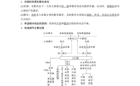 2024年高考生物一轮复习（新人教版）第8单元　第6课时　体液调节与神经调节的关系_09高考生物_2024年新高考资料_1.2024一轮复习_2024年高考生物一轮复习讲义（新人教版）