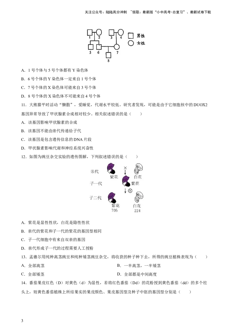 专题21生物的遗传和变异（习题精练）-省心备考2024年中考生物一轮复习精讲精练（全国通用）（原卷版）_02中考总复习（2026版更新中）_08-生物-中考总复习_2024年中考复习资料