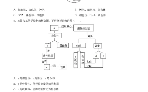 专题21生物的遗传和变异（习题精练）-省心备考2024年中考生物一轮复习精讲精练（全国通用）（原卷版）_02中考总复习（2026版更新中）_08-生物-中考总复习_2024年中考复习资料