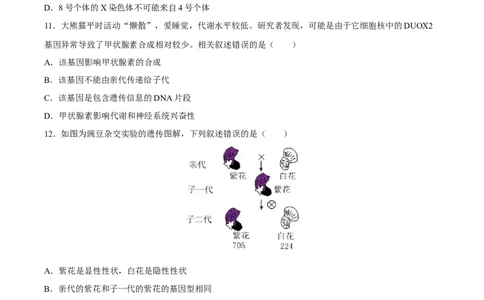 专题21生物的遗传和变异（习题精练）-省心备考2024年中考生物一轮复习精讲精练（全国通用）（原卷版）_02中考总复习（2026版更新中）_08-生物-中考总复习_2024年中考复习资料
